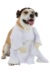 Princess Leia Dog Costume