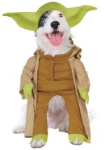 Yoda Dog